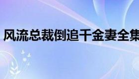 风流总裁倒追千金妻全集完整版（风流总裁）