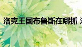 洛克王国布鲁斯在哪抓 洛克王国阿布哪获得