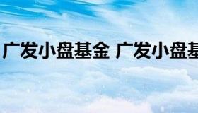 广发小盘基金 广发小盘基金净值查询近十年）