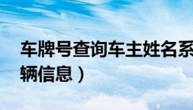 车牌号查询车主姓名系统 通过车牌号查询车辆信息）