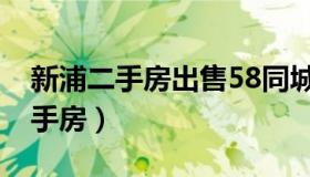 新浦二手房出售58同城（新浦58同城房产二手房）