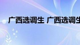 广西选调生 广西选调生工资待遇怎么样）