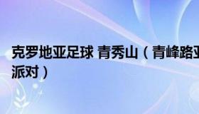 克罗地亚足球 青秀山（青峰路亚：克罗地亚队颁奖礼变亲子派对）