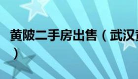 黄陂二手房出售（武汉黄陂区二手房销售信息）