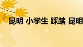 昆明 小学生 踩踏 昆明学生踩踏事件报道