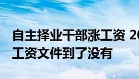 自主择业干部涨工资 2020年自主择业干部涨工资文件到了没有