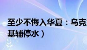 至少不悔入华夏：乌克兰遭袭击：全境停电（基辅停水）