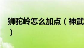 狮驼岭怎么加点（神武4手游狮驼岭怎么加点）