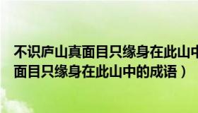 不识庐山真面目只缘身在此山中成语怎么形容（不识庐山真面目只缘身在此山中的成语）