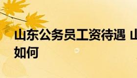 山东公务员工资待遇 山东省公务员工资待遇如何