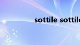 sottile sottilette奶酪）