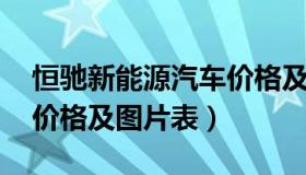 恒驰新能源汽车价格及图片 恒驰新能源汽车价格及图片表）