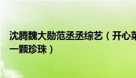 沈腾魏大勋范丞丞综艺（开心菜菜慢生活：张艺谋说沈腾是一颗珍珠）