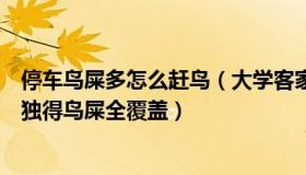 停车鸟屎多怎么赶鸟（大学客家妹子：男子停车半小时车身独得鸟屎全覆盖）