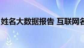 姓名大数据报告 互联网名字大数据统计信息）