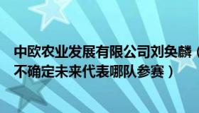 中欧农业发展有限公司刘奂麟（中欧犄角旮旯：刘氏兄弟暂不确定未来代表哪队参赛）