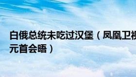 白俄总统未吃过汉堡（凤凰卫视：白俄总统戴中国口罩参加元首会晤）