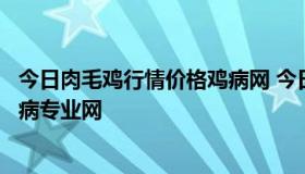 今日肉毛鸡行情价格鸡病网 今日肉毛鸡价格最新价格行情鸡病专业网