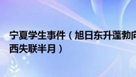 宁夏学生事件（旭日东升蓬勃向上：宁夏一初中生出门买东西失联半月）