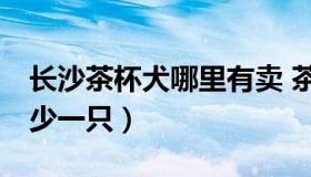 长沙茶杯犬哪里有卖 茶杯犬哪里有批发的,多少一只）