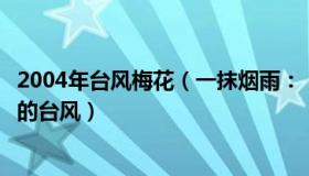 2004年台风梅花（一抹烟雨：“梅花”四世究竟是个什么样的台风）