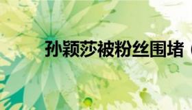 孙颖莎被粉丝围堵（孙颖莎上热搜