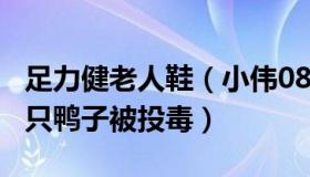 足力健老人鞋（小伟0815：老人养的近4000只鸭子被投毒）