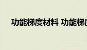 功能梯度材料 功能梯度材料命令流编程