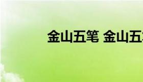 金山五笔 金山五笔打字游戏）