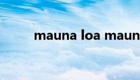 mauna loa mauna loa夏威夷果