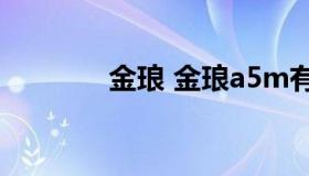 金琅 金琅a5m有源音箱评测