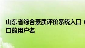 山东省综合素质评价系统入口（山东省综合素质评价系统入口的用户名