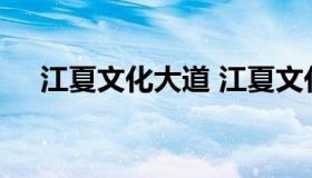 江夏文化大道 江夏文化大道未来的发展