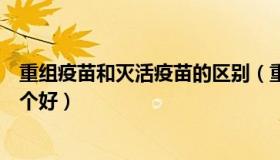 重组疫苗和灭活疫苗的区别（重组疫苗和灭活疫苗的区别哪个好）