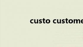 custo customers中文翻译