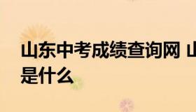 山东中考成绩查询网 山东中考成绩查询网址是什么