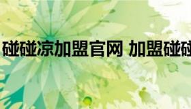 碰碰凉加盟官网 加盟碰碰凉总共需要多少钱）