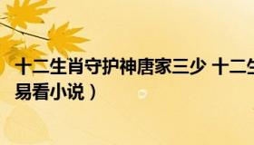 十二生肖守护神唐家三少 十二生肖守护神唐家三少全文阅读易看小说）