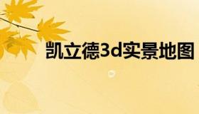 凯立德3d实景地图（最好3d地图）