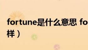 fortune是什么意思 fortune是什么意思怎么样）