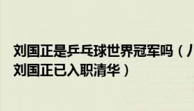 刘国正是乒乓球世界冠军吗（八卦气象台：乒乓球世界冠军刘国正已入职清华）