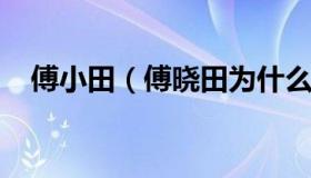 傅小田（傅晓田为什么不主持风云对话了