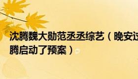 沈腾魏大勋范丞丞综艺（晚安过江燕：总导演：春晚因为沈腾启动了预案）