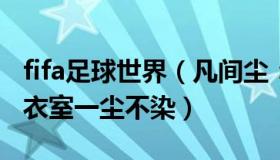 fifa足球世界（凡间尘：FIFA点赞日本队：更衣室一尘不染）