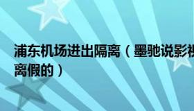 浦东机场进出隔离（墨驰说影视：上海浦东机场入境取消隔离假的）