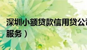 深圳小额贷款信用贷公司（深圳企业信用贷款服务）