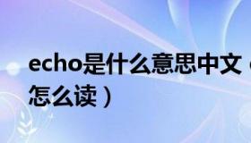 echo是什么意思中文 echo是什么意思中文怎么读）