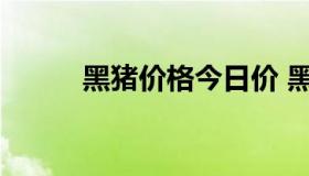 黑猪价格今日价 黑猪价格是多少