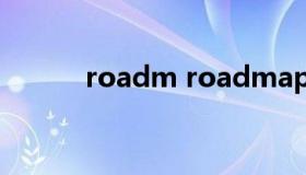 roadm roadmap 产品路线图）