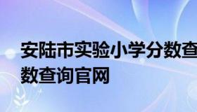 安陆市实验小学分数查询 安陆市实验小学分数查询官网